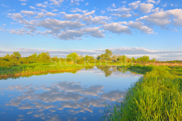 Rural landscape with Narew river and Stratocumulus clouds. Stock photo © bogumil