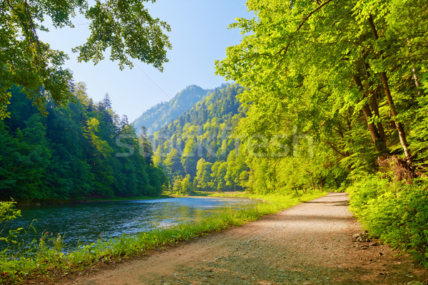 Trail in the Dunajec River Gorge. View from Slovakia. Stock photo © bogumil