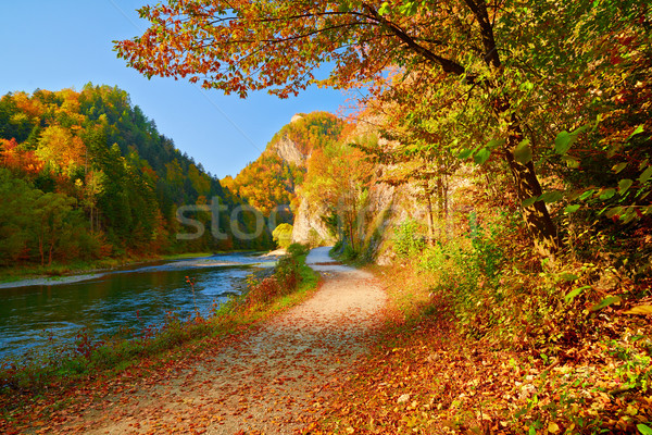 Autumn landscape with The Dunajec River Gorge. Pieniny Mountains Stock photo © bogumil