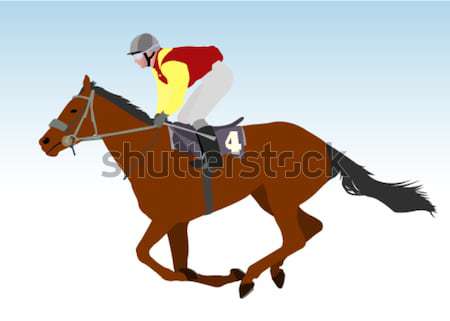 cowgirl riding hors Stock photo © bokica