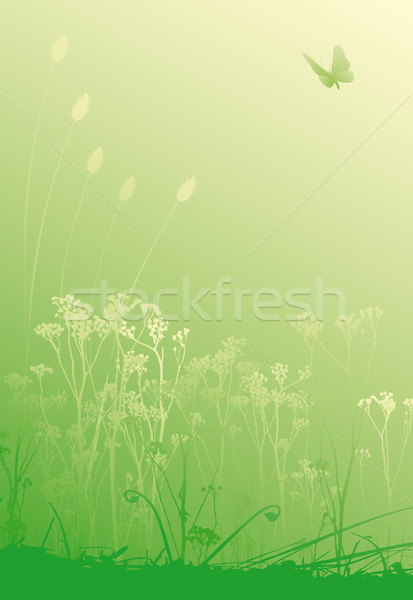 Zioła różny Motyl pływające kwiat trawy Zdjęcia stock © bonathos