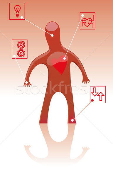 Serca człowiek symbolika medycznych zdrowych zdrowia Zdjęcia stock © bonathos