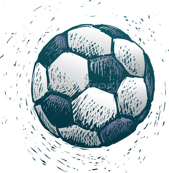 Soccer ball Stock photo © bonathos