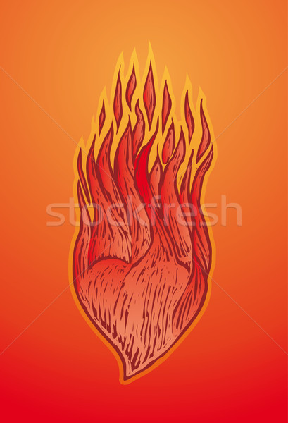 Heart on fire Stock photo © bonathos