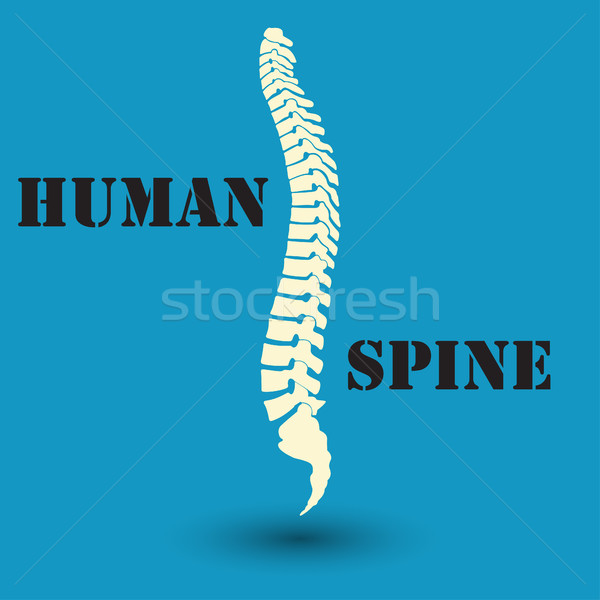 Stock photo: silhouette of a human spine