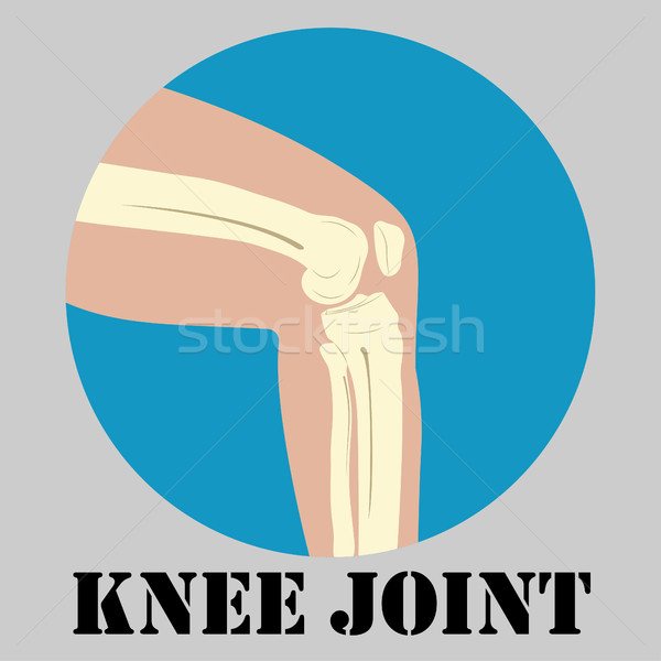 Umani ginocchio congiunto emblema medicina clinica Foto d'archivio © BoogieMan