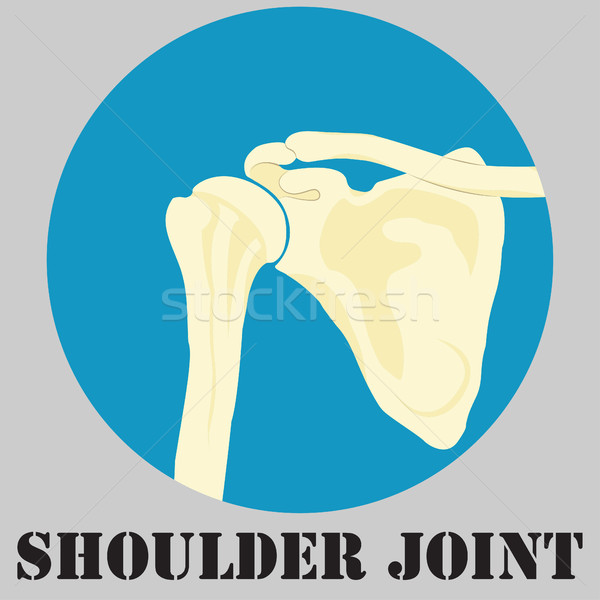 Human shoulder joint Stock photo © BoogieMan