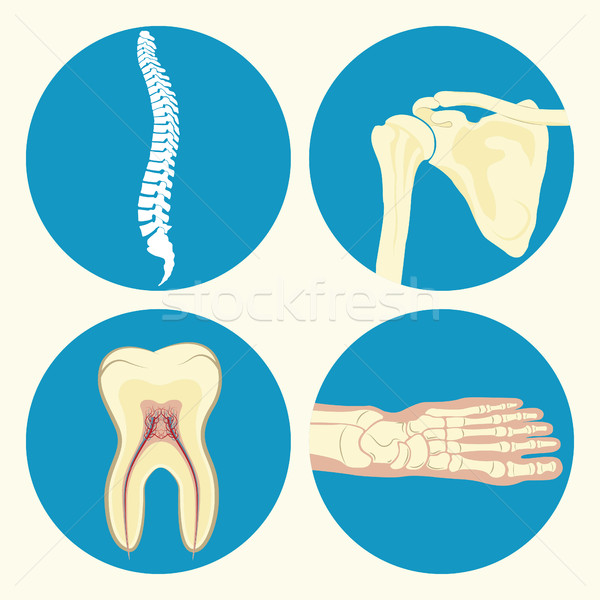 Foto stock: Médico · conjunto · ícone · humanismo · coluna