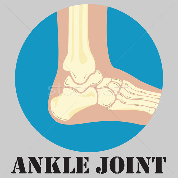 Stock photo: Human ankle joint emblem