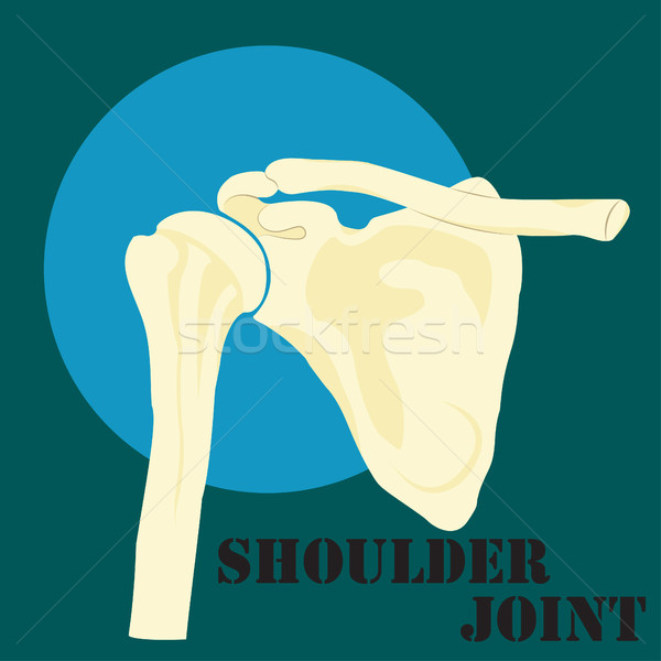 Human shoulder joint Stock photo © BoogieMan