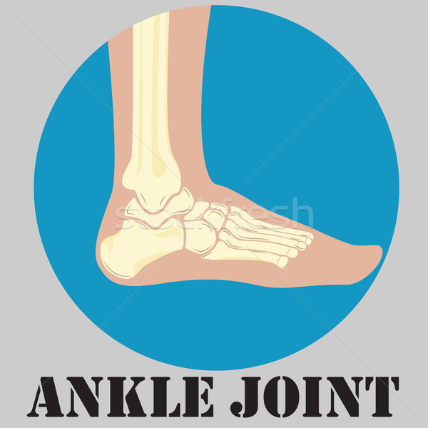 Menschlichen Knöchel Joint Emblem Medizin Klinik Stock foto © BoogieMan