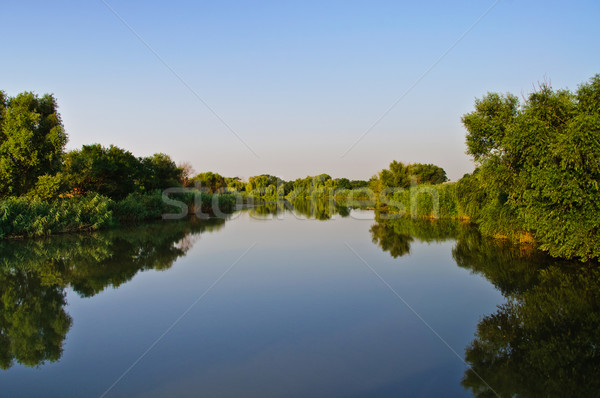 Stock photo: Water mirror. Pond, green vegetation.