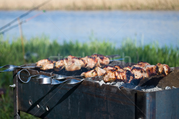 été pique-nique rivière barbecue [[stock_photo]] © Borissos