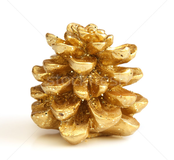 Isolated golden Christmas pine cone Stock photo © borna_mir
