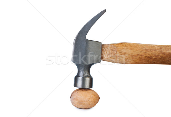 Hammer hits the nut. Stock photo © borysshevchuk