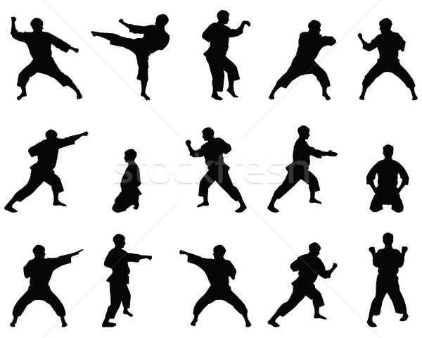Sziluettek pozíciók karate kéz férfi művészet Stock fotó © borysshevchuk