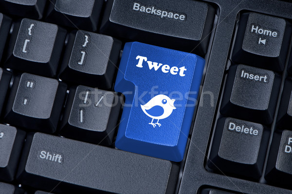 Button keypad with tweet and bird closeup. Stock photo © borysshevchuk