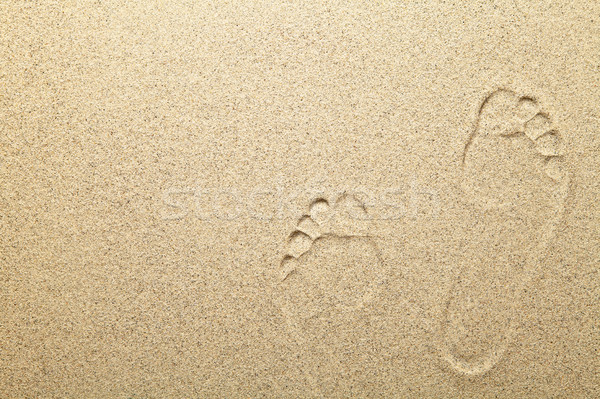 Stockfoto: Zand · voetafdrukken · zandstrand · exemplaar · ruimte · achtergrond · woestijn