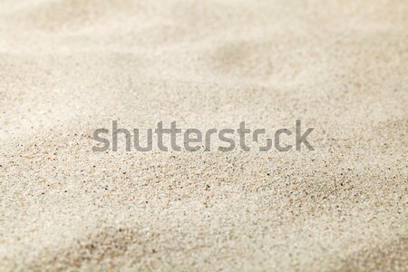 砂 砂浜 テクスチャ コピースペース 自然 海 ストックフォト C Bozena Fulawka Stockfresh