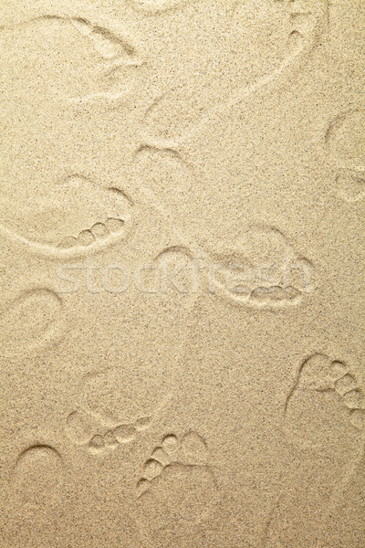 Sand Background Stock photo © Bozena_Fulawka