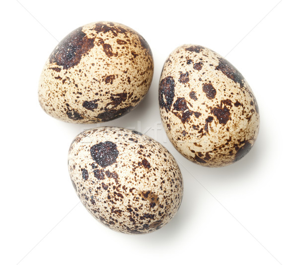 Quail Eggs Isolated on White Background Stock photo © Bozena_Fulawka