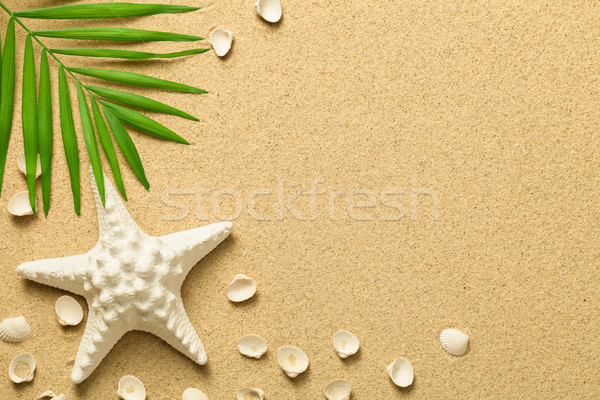 Summer Background with Green Palm Leaf, Starfish and Shells Stock photo © Bozena_Fulawka