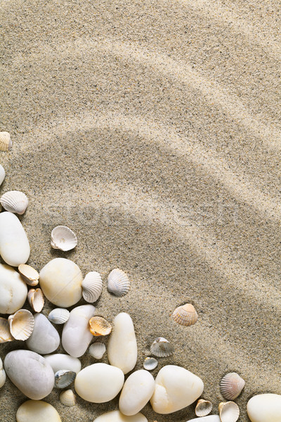 Sand Muscheln Steine Sandstrand Textur Sommer Stock foto © Bozena_Fulawka