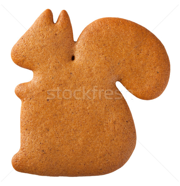 Turta dulce veveriţă cookie izolat alb top Imagine de stoc © Bozena_Fulawka