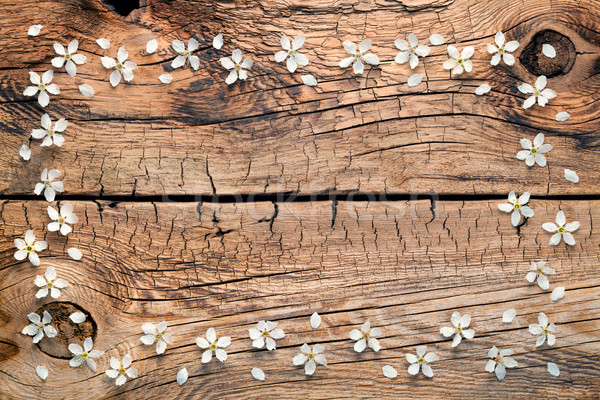 Flores de primavera madera espacio de la copia superior vista Foto stock © Bozena_Fulawka