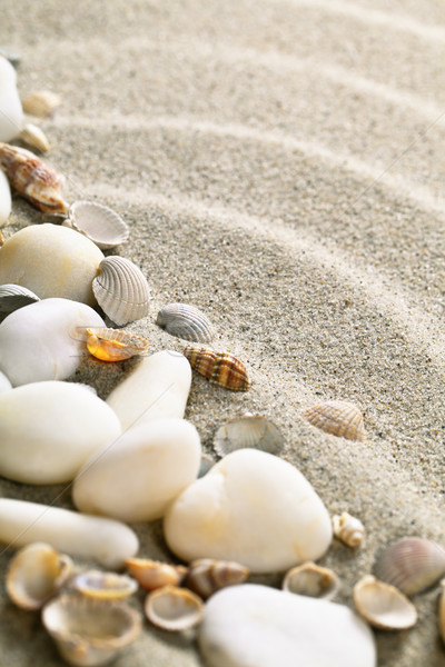 Sand and Shells Stock photo © Bozena_Fulawka