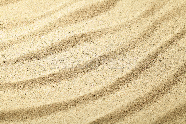 Homok homokos tengerpart textúra fókusz központ természet Stock fotó © Bozena_Fulawka