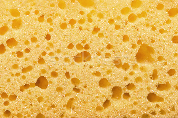 Sponge Texture Stock Photo C Bozena Fulawka Stockfresh