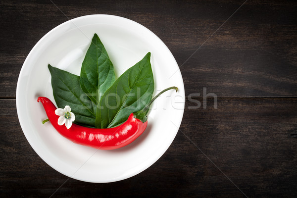 Chili Pepper Stock photo © Bozena_Fulawka