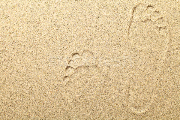 Sand Background Stock photo © Bozena_Fulawka