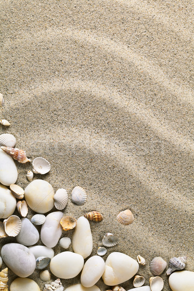 Sand Sandstrand Muscheln Steine Textur Sommer Stock foto © Bozena_Fulawka