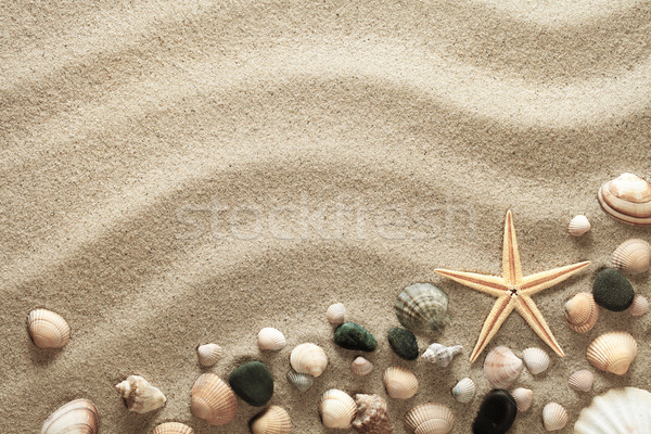 Sand Sandstrand Muscheln Seestern Urlaub top Stock foto © Bozena_Fulawka