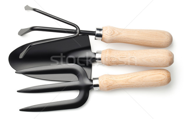 Stock photo: Garden Shovel, Rake and Fork Isolated on White Background