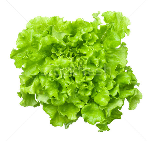 Salată verde salată cap izolat alb top Imagine de stoc © Bozena_Fulawka