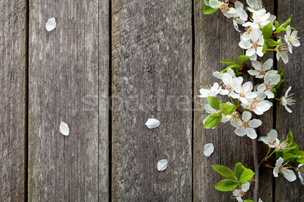 Flores de primavera mesa de madera ciruela flor superior vista Foto stock © Bozena_Fulawka