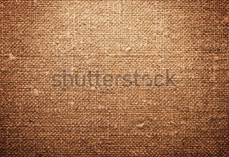 Klasszikus öreg vászon textúra szoba szöveg Stock fotó © Bozena_Fulawka