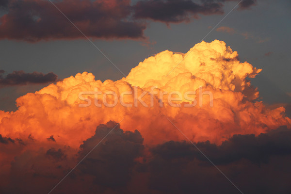 Orange Clouds at Sunset Stock photo © bradleyvdw