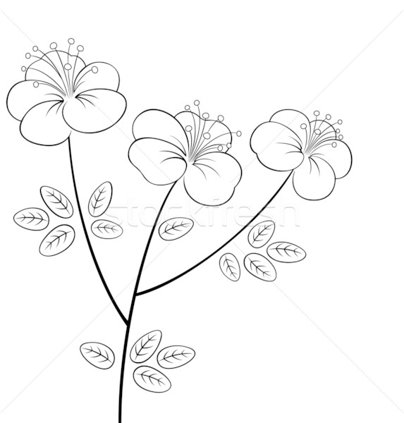 [[stock_photo]]: Joli · fleur · ligne · art · vecteur · blanc · noir