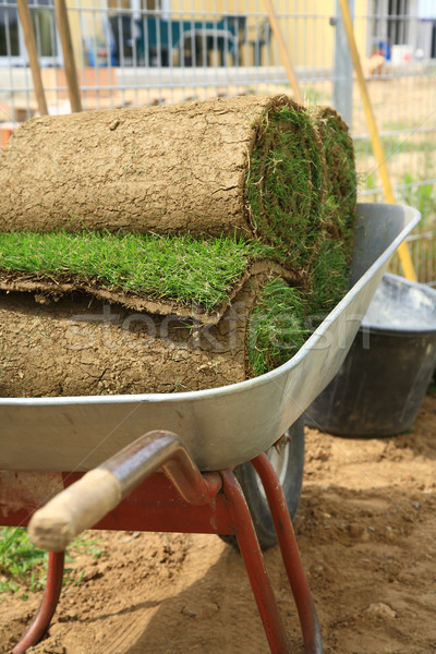 Rolled sod Stock photo © brebca