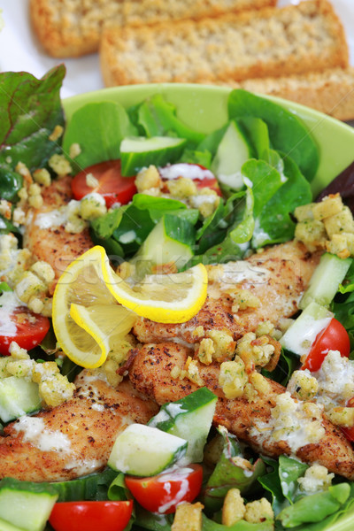 Green salad with chicken stripes Stock photo © brebca