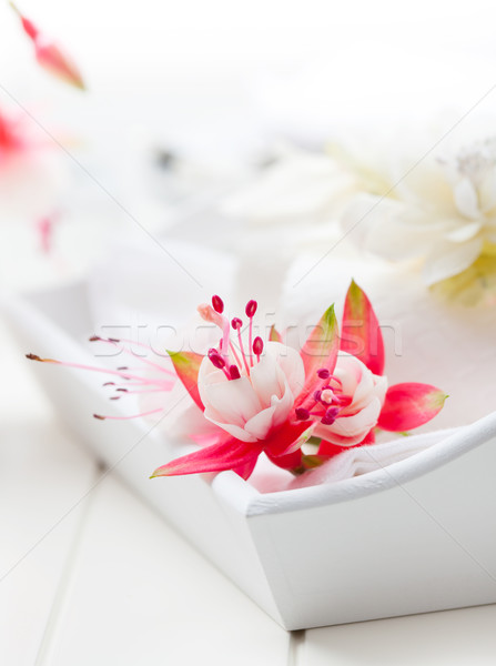 精緻的餐點 表 裝飾 花卉 地方 小 商業照片 © brebca