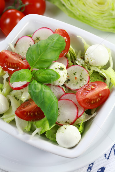 Vegetable salad Stock photo © brebca