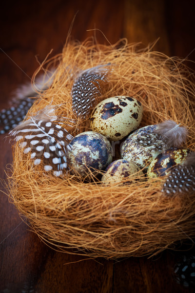 Easter still life with quail eggs Stock photo © brebca