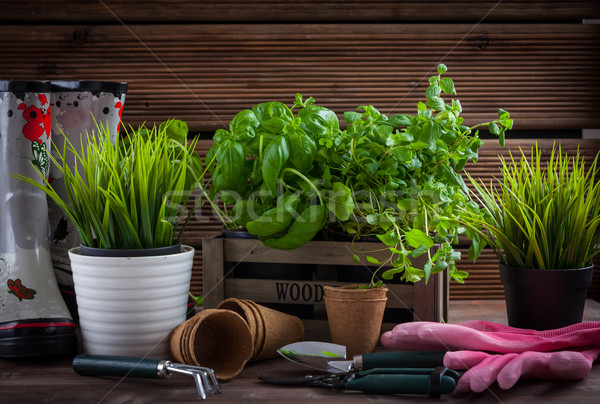 Gardening Stock photo © brebca