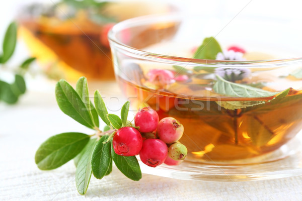 жизнеспособность чай мята ягодные воды продовольствие Сток-фото © brebca