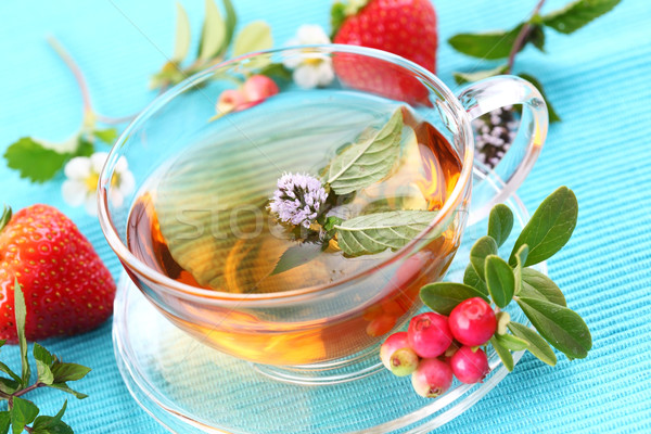 Vitalität Tee mint Beeren Wasser Essen Stock foto © brebca